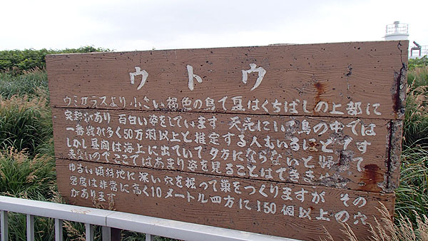 ウトウについて